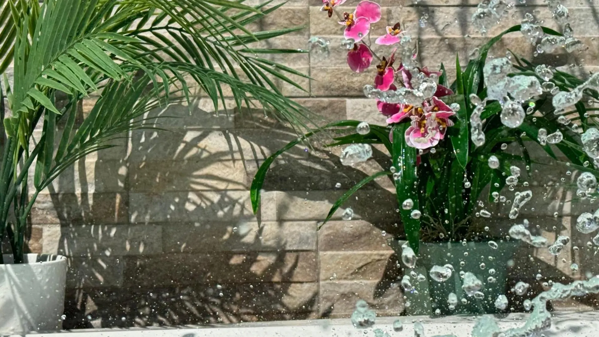 Apartment Ultimate Relaxation Private Jacuzzy And Premium Comfort Santo Domingo
